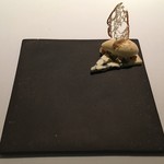 Point - フルムダンベール ハチミツのアイスクリーム