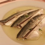 バルレストランテ ミヤカワ - 