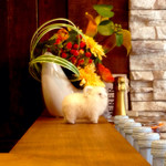 築地フレンチ メゾンミッシェル - 