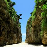 きしもと食堂 - 本部から車で１５分ぐらいの備瀬のワルミ