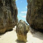 きしもと食堂 - 備瀬のワルミの岩