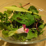 鳥匠 いし井 - ハーブのサラダ