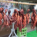 魚売り処　新鮮家 - 味たこ