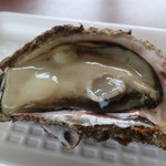 魚売り処　新鮮家 - 岩牡蠣
