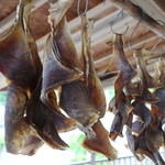 魚売り処　新鮮家 - 