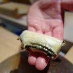 寿しの吉乃 - 鮑