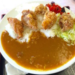 みどり湖パーキングエリア（上り線）白樺亭 - 山賊カレー 650円