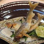 青華こばやし - 28年6月　琵琶湖稚鮎　蓼・酢橘