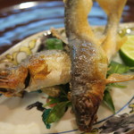 青華こばやし - 28年6月　琵琶湖稚鮎　アップ