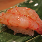 鮨 山浦 - 28年6月　北海縞海老