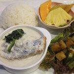 JICA関西 - ●１０年１０月(フィジー)