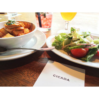CICADA - 