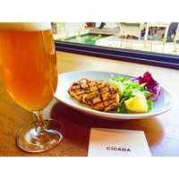 CICADA - 