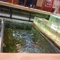 博多料亭 稚加榮 - 