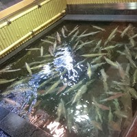 博多料亭 稚加榮 - 