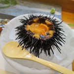 寿司栄 - 雲丹　昆布のジュレ