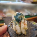 寿司栄 - 赤座海老