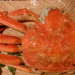 桜川 - ズワイガニ