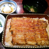 五代目 野田岩 麻布飯倉本店 - うな重 萩(中大) 2016.6