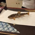 田ざわ - 18.稚鮎