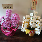 ランソレイエ - 