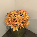 ランソレイエ - 