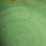 板鼻館 - めだかの学校→(稚魚が泳いでます)