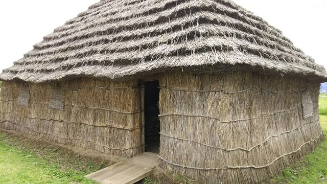天童観光果樹園 - 高瀬（その他）の写真