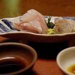 虎屋 壺中庵 - セイゴとクルマエビのお造り