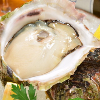 オイスターバー 海と月_1