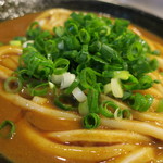 うどん 丸香 - 【再訪12】季節限定のカレーうどんが美味しいっ！！