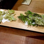 徳山鮓 - ユキノシタ、コゴミ