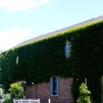 naturam kazuya sugiura - 外観　サイド