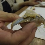 すし処金太郎 - 2016.06　