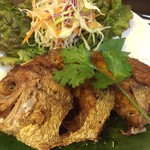 レッド オーキッド - 