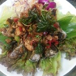 レッド オーキッド - 