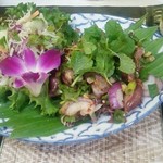 レッド オーキッド - 