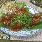 レッド オーキッド - 