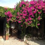 La Casa del Vento Ristorante Pizzeria - 