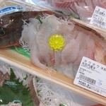 菅原鮮魚 さかた海鮮市場本舗 - 庄内産　ほうぼう　お刺身