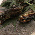 旬菜 おぐら家 - 那珂川の天然小鮎の炭火焼き