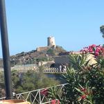 Pizzeria Nora Beach Palm - 