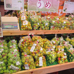 道の駅 柿の郷くどやま - 