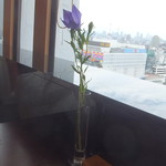 美濃吉 - 机上の花