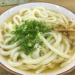 吾里丸 - かけうどん(*´д`*)270円
