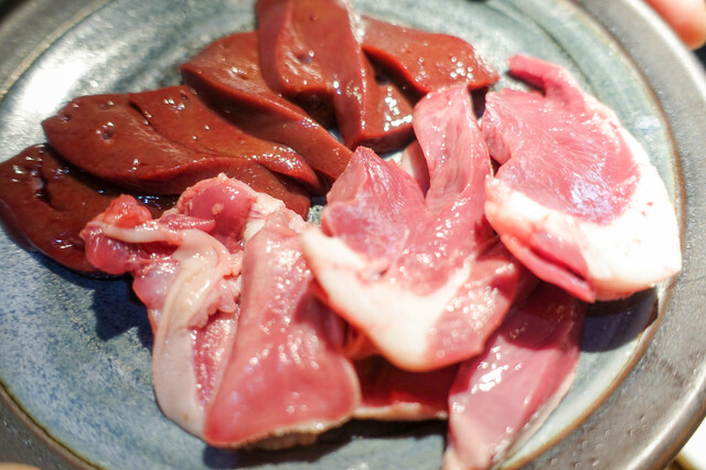 Sapporo Jingisukan Shirokuma Sapporo Honten photo 3