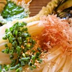 野菜天ぶっかけ「あっぷ図」