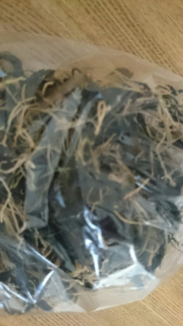 大井沢温泉館 湯ったり館（オオイサワオンセン ユッタリカン） - 西川町その他（その他）の写真