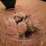 稲荷町髙はし - 夏のお造り（鱧、まこがれい、赤烏賊、河豚など）