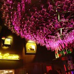 VIVO BAR TOKYO - 